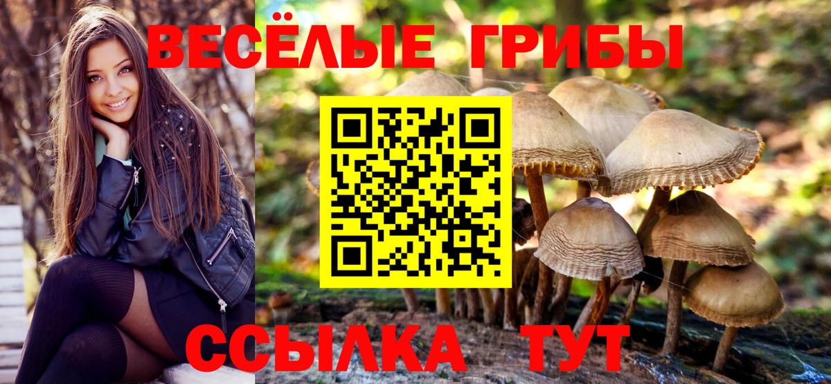 Псилоцибиновые грибы Psilocybine cubensis  Псилоцибиновые грибы ЛСД  Вход с VPN  Учалы 